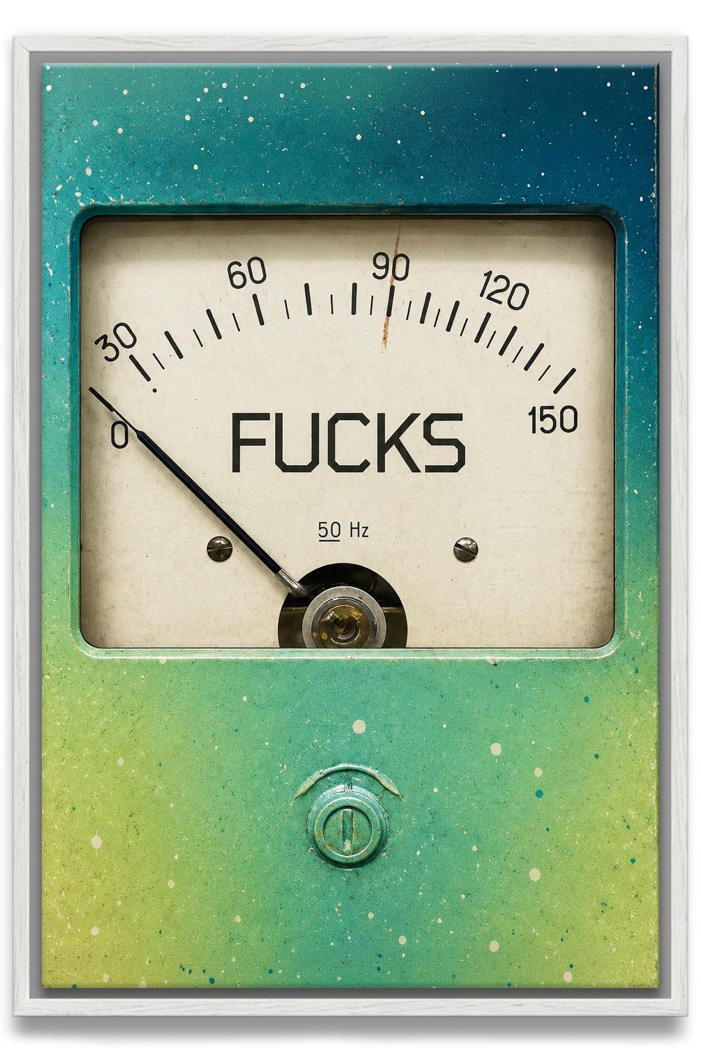 Zero F*cks Canvas PRINT