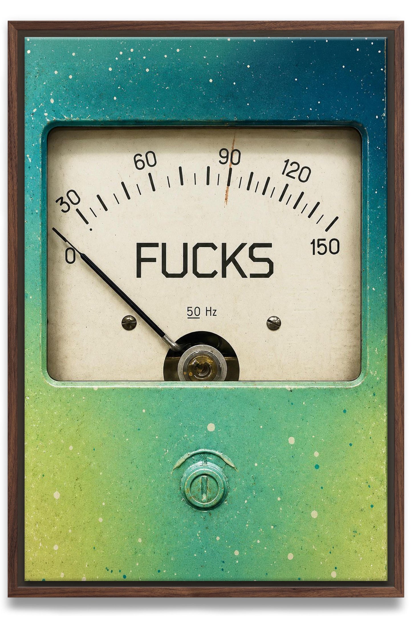 Zero F*cks Canvas PRINT